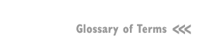 Glossary of Terms